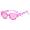 X1218 Women's Trendy Polygon Cat Eye Sunglasses with UV Protection