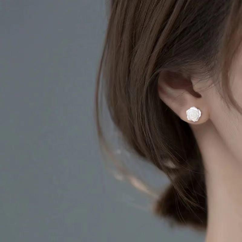 Retro Tassel Long Dangle Earrings - 925 Silver Needle, Light Luxury Fashion Jewelry for Women.