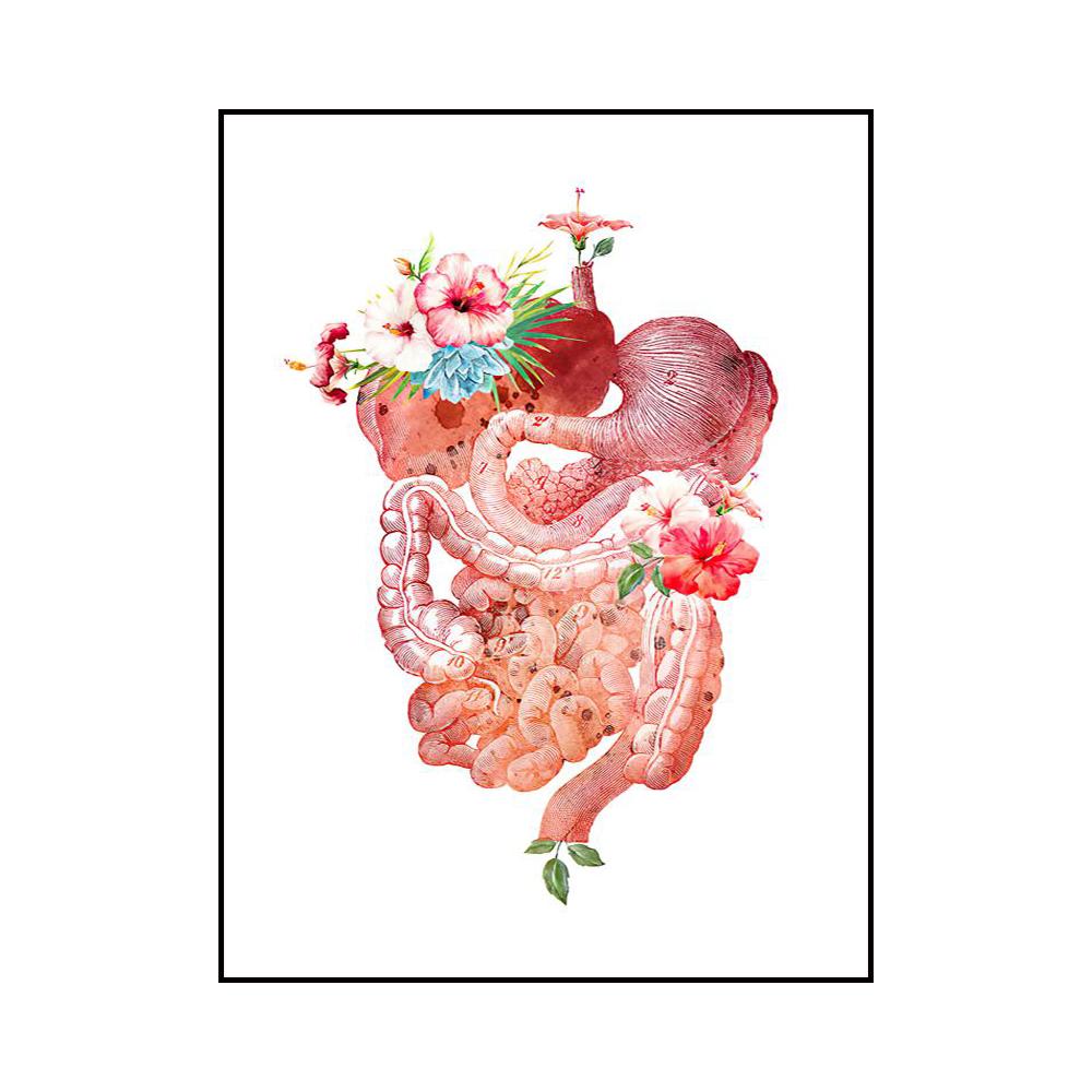 Abstract Organs Heart Skeleton Teeth Painted Wall Art Posters Home Room Decoration Canvas Painting Murals Pictures Print Artwork