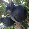 Root Ball Propagation Plant Propagation Ball Cuttings Grafting Case For Fruit Tree Substrate Fertilizer SucculentCare Indoor