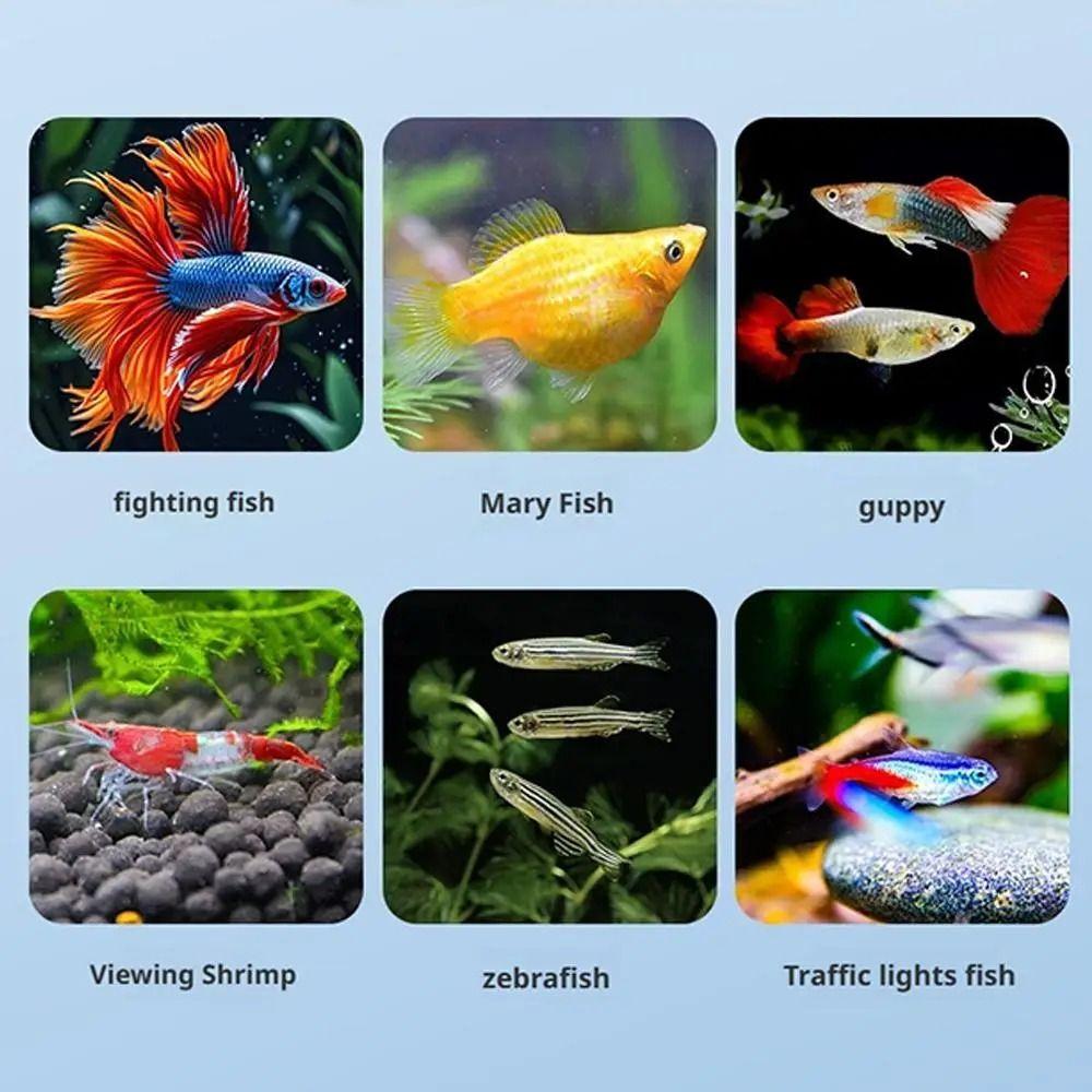 2Pcs Transparent Aquarium Hatchery Accessories Detachable Aquarium Breeder Feeder  Guppy Breeding