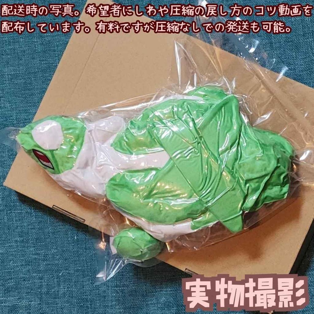 Large, extra-large Latios plush toy, different colors, cushion, green, 30cm, mascot, paper bag included, actual product photograph