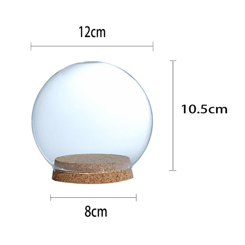 Modern Handcraft Glass Dome Cover Dry Flower Vase with Wood Cork Base Landcrape Figurines Model Display Artwork
