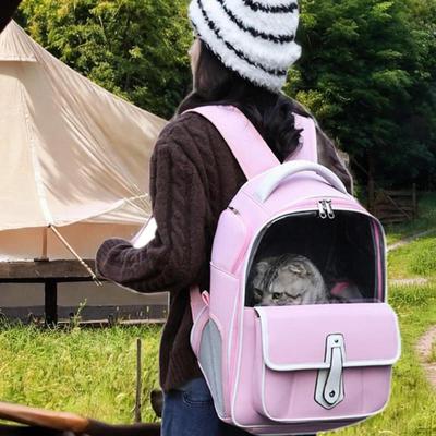 Katzen-Rucksack, Tragetasche mit atmungsaktivem Mesh, transparentes Fenster, tragbares Haustier-Reisegepäck