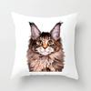 Cute Cat Pillows Cases for Sofa Home Decor Room Decoration Car Cushion Cover Polyester Pet Pillow Case Covers Pillowcase 45x45cm