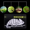 Light Lamp Bulb Test Card Tests Paper Reptiles Test Tool Effective Paper Tester Meter Pet Supplies