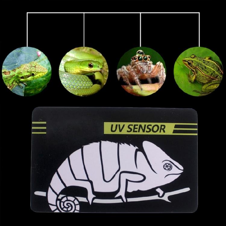Light Lamp Bulb Test Card Tests Paper Reptiles Test Tool Effective Paper Tester Meter Pet Supplies