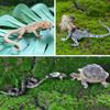 TOYMANY 12PCS Animal Figures Wild Animal Figure Set Realistic Animal Models Zoo Theme Popular Animals Toys Birthday Present Decoration Christmas New Y