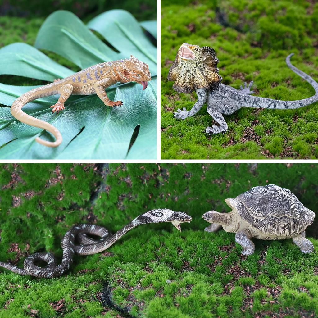 TOYMANY 12PCS Animal Figures Wild Animal Figure Set Realistic Animal Models Zoo Theme Popular Animals Toys Birthday Present Decoration Christmas New Y