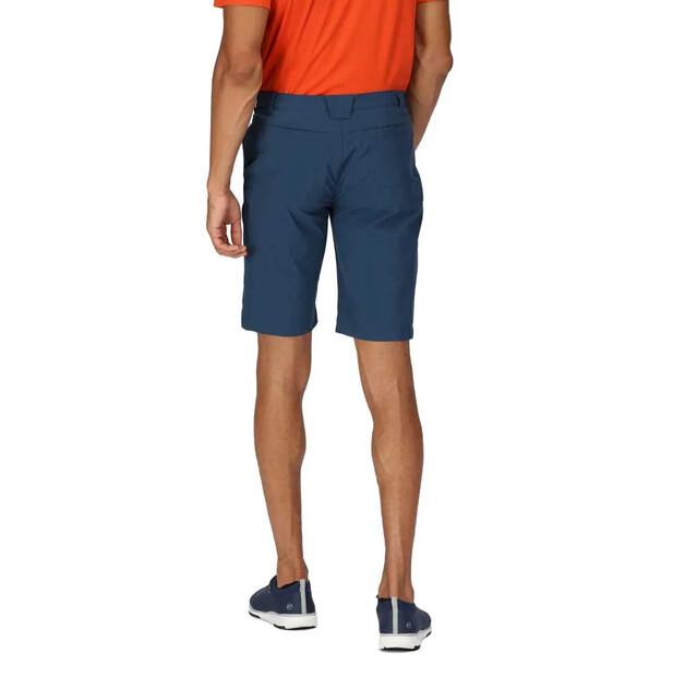 Regatta Highton Long Shorts