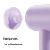 Laifen SE Hair Dryer Magnetic Holder CN plug (adapter included)
