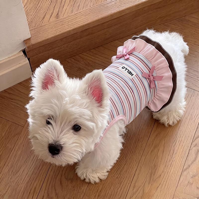 Dog clothes Autumn and winter rainbow striped dress Bigbear cat teddy Pomeranian small dog velvet pet vest