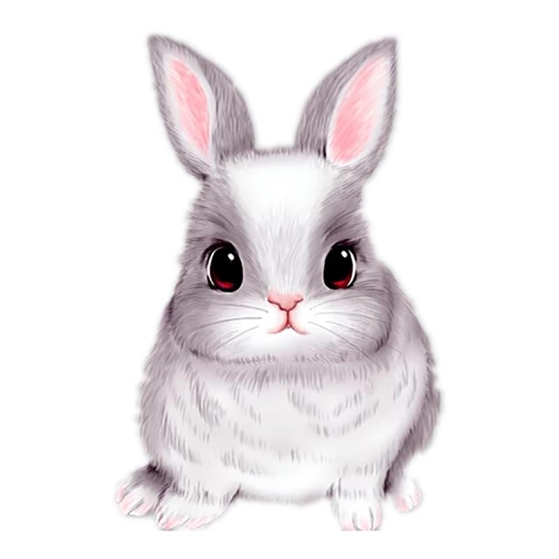 rabbit decorative accessories