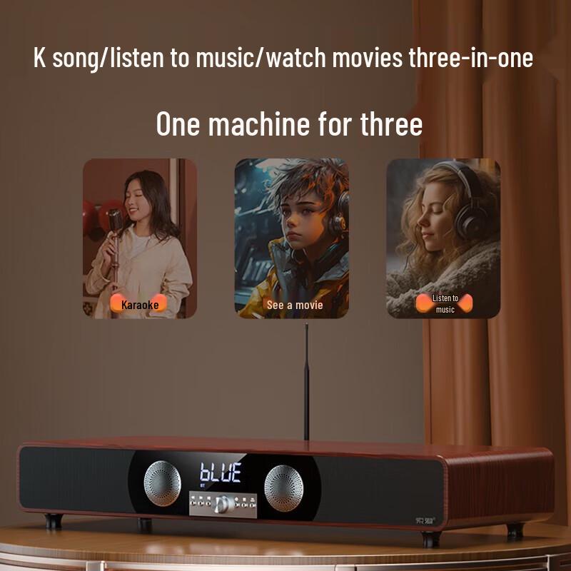 Soaiy SA-205 Home KTV Bluetooth Audio System