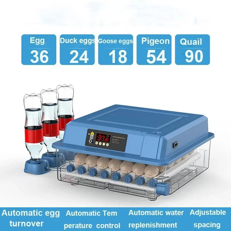 

Инкубатор-брудер на 36 яиц, автоматическое пополнение воды, инкубатор для птиц, перепелов, цыплят, инкубатор для домашней птицы, поворотный механизм, инструмент для фермерского инкубатория US Plug 110V
