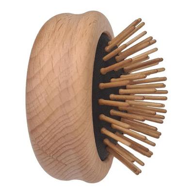 Costcam Pop-Up Hairbrush