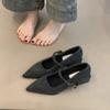 Fashion Pointed Single Shoe Women's Spring New Style French Thick Heel Shallow Mouth Shoes Elegant Low Heel Women's Shoes