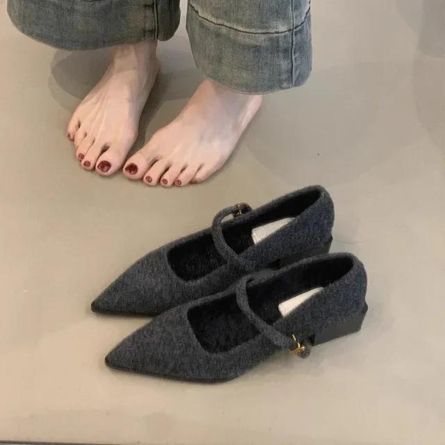 Fashion Pointed Single Shoe Women's Spring New Style French Thick Heel Shallow Mouth Shoes Elegant Low Heel Women's Shoes