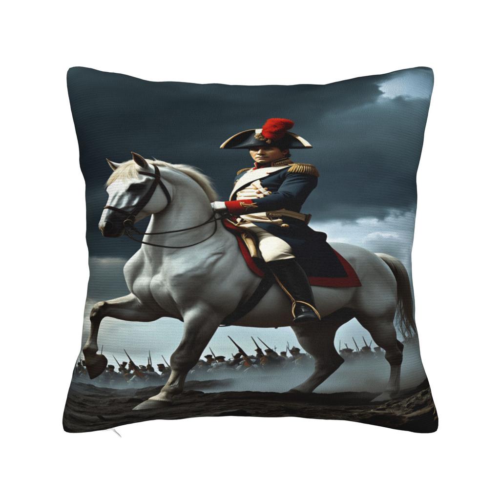 Napoleon Bonaparte Pillow Case  Cute Funny Pillow Cover Comfy Pillowcases For Chair Sofa Home Decor