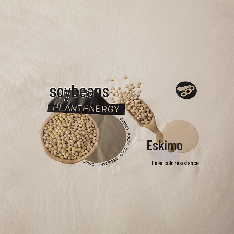 Faunen Arctic Winter Soybean Fiber Quilt