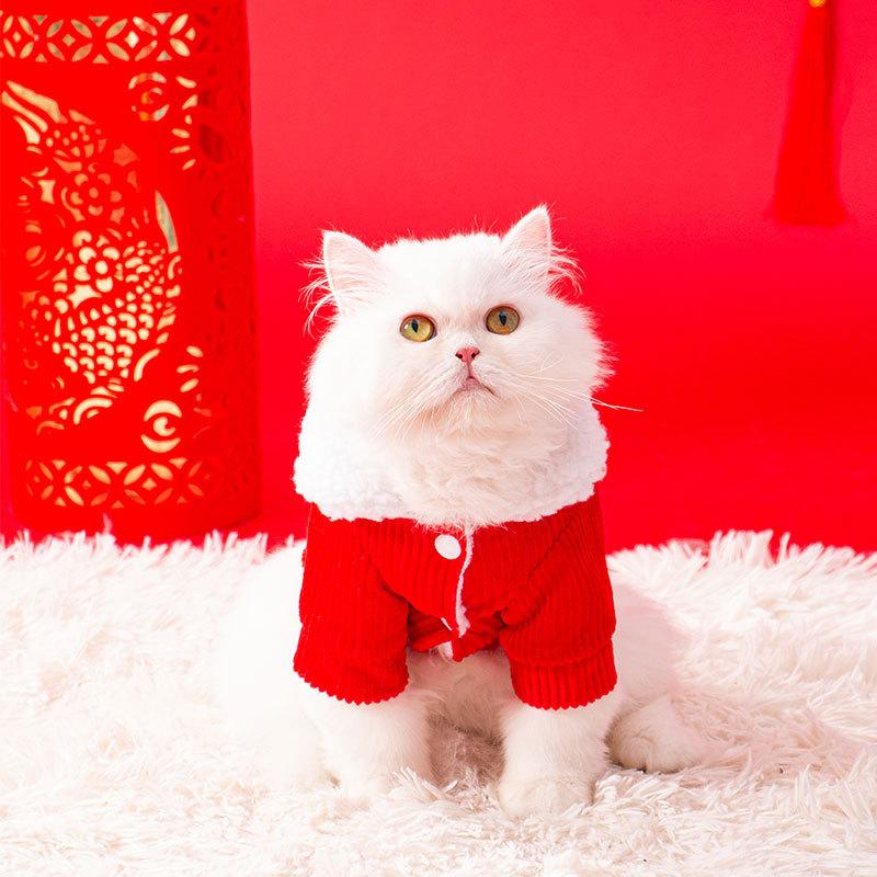 Make a Fortune In the New Year, Fleece To Keep Warm, Two-legged Cotton-padded Clothes Become Kittens, Festive and New Year's Greeting Cat Clothing