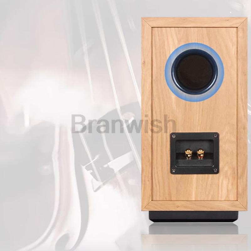 High Power 200W Speaker Hifi Bookshelf Speaker 6.5 Inch Two-Way Fever Passive Speaker for TV PC Desktop Home Theater Sound Box