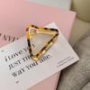 Retro Mori Style Alloy Triangle Hair Claw Clip - Versatile Korean/Japanese Sweet Bun & Back of Head Accessory