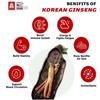 CheongKwanJang Everytime Balance – 100 % koreanischer roter Ginseng-Extrakt, flüssige Sticks, 300 mg