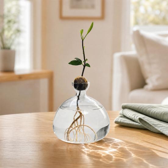 Hydroponic Plants Glass Vase Transparent Propagation Terrarium
