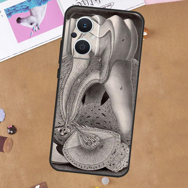 Human Tooth Anatomy Case For OPPO Reno 11 10 Pro 8 7 6 5 4 Lite 8T 5Z 4Z 11F OPPO Find X5 X6 Pro X2 Neo X3 Lite