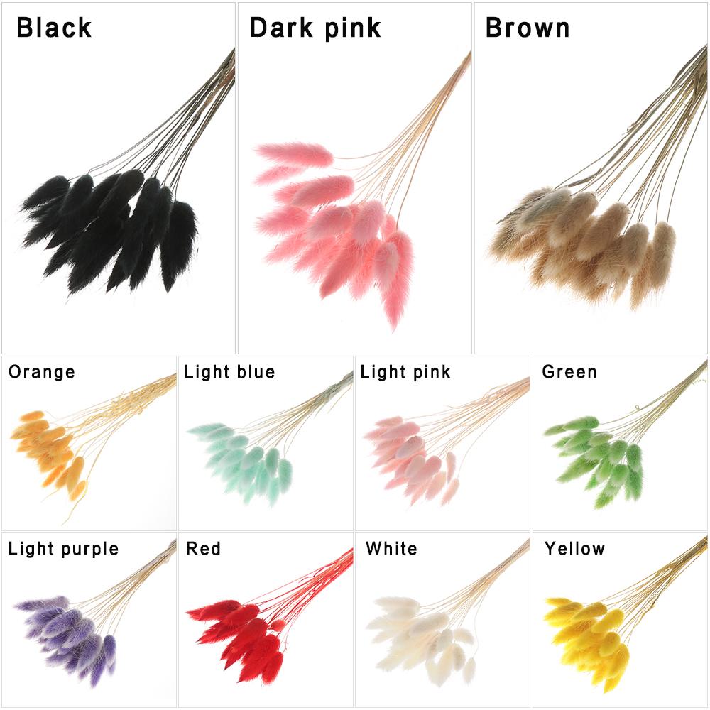 

Natural Material Plant Stems Dried Flowers Bouquets Lagurus Ovatus Bunny Tails Rabbit Tail Grass светло-розовый