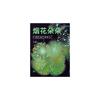 20-Piece Colorful Fireworks Stickers, Vibrant Explosion Patterns, for Journal Decoration & Scrapbooking