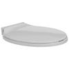 Soft-close Toilet Seat Clear Oval