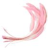 10Pcs Natural Feather Performance Decoration Feathers Craft Feathers  Headwear Accessories