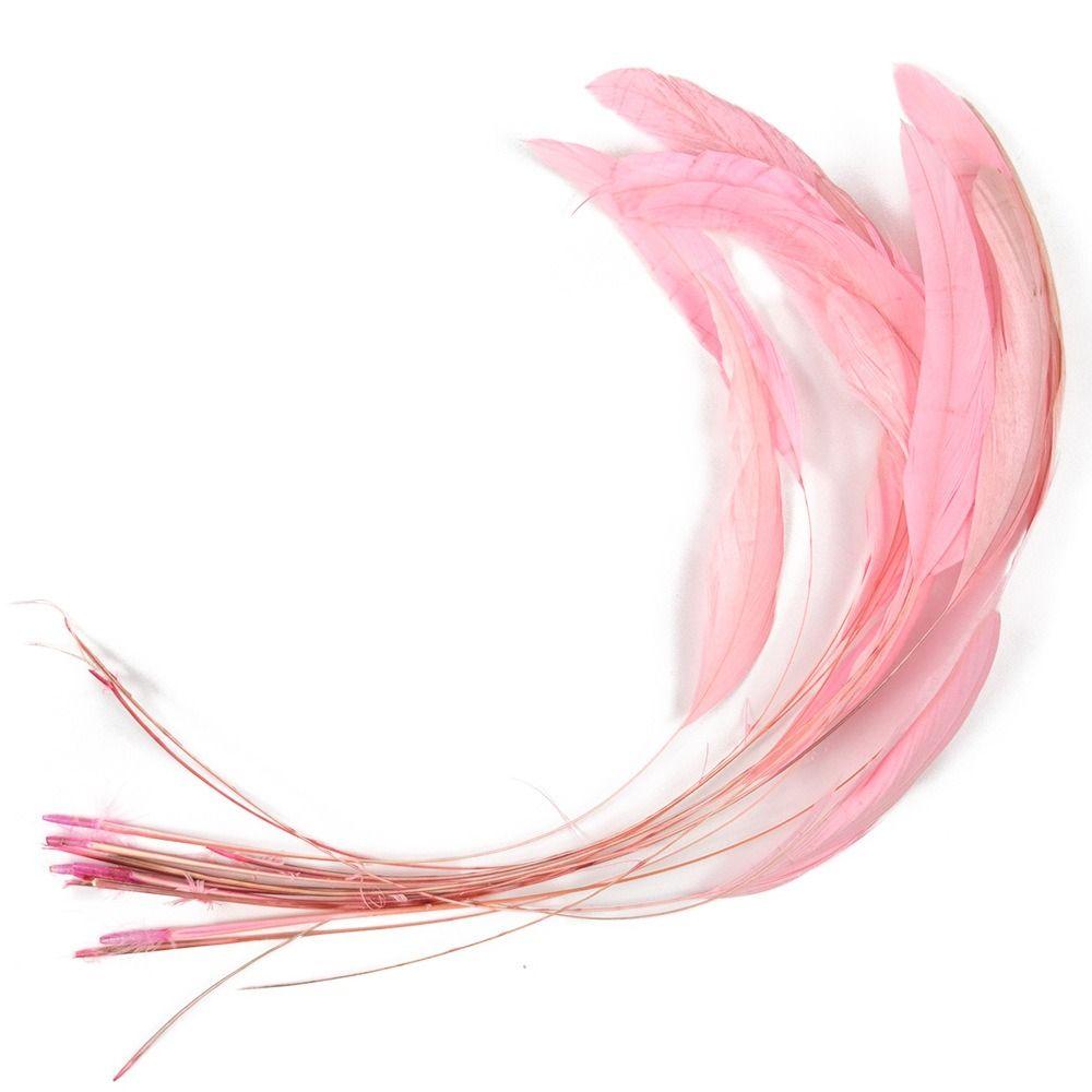 10Pcs Natural Feather Performance Decoration Feathers Craft Feathers Headwear Accessories