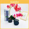 Phalaenopsis Potted Simulated Artificial Flower Desktop Ornament Decoration