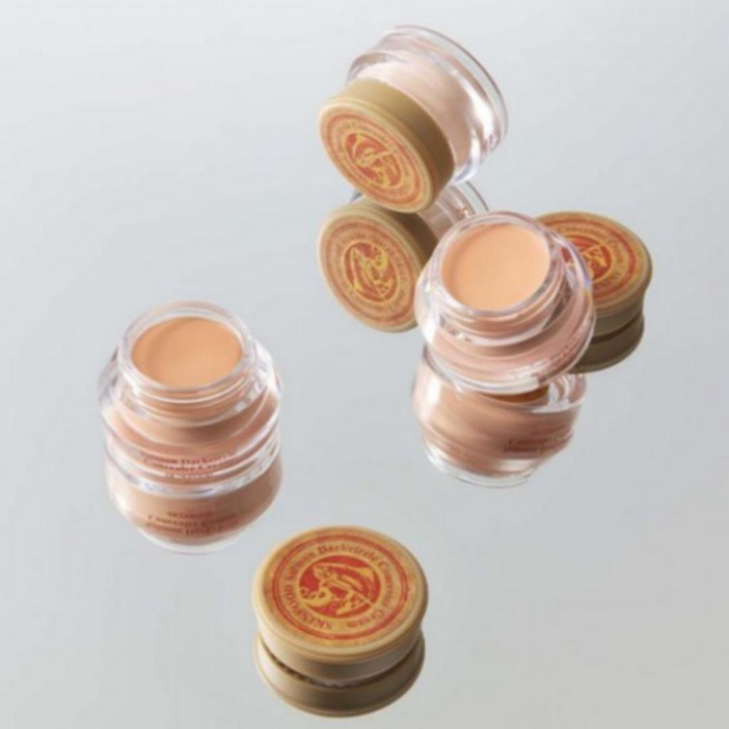 [SKINFOOD] Salmon Dark Circle Concealer Creme 10g (2 Arten)