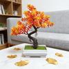 Artificial Bonsai Tree Indoor Small Fake Plants with Resin Pot for Home Office Desk Shelf Bathroom Bedroom Living Room Decoration