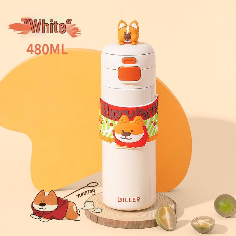 Diller Corgi Insulated Straw Water Bottle