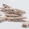 Large Wooden clothesp for Clothes 2.85 Inches Length,for Hanging Clothes,Craft,Food Opened Bags,DIY