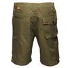 Regatta Mens Heroic Cargo Shorts