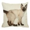 Thailand Cat Theme Pattern Double-Sided Printed Pillow Cover Short Plush Suitable Living Rooms Bedrooms Sofa Throw Cushion Cover