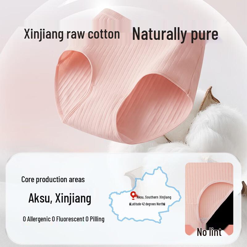 Guxu Women s Disposable Mid-High Waist Cotton Underwear (6-Pack) 2XL