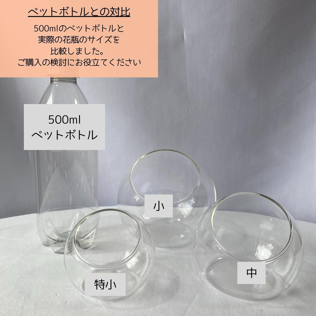 [S.T.S.G] Glass Terrarium Planter Hydroponics Pot, Round, Stylish Interior Display, Cute Plants (Set of 3, Extra Small, Small, and Medium)