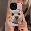 Etui na telefon Słodki Kot dla Iphone 14 Pro Max 11 13 12 Ochrona aparatu Odporna na wstrząsy silikonowa obudowa dla Iphone Xr Xs Max X 8 Plus 7 6