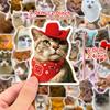 50PCS Realistic Cat Stickers, Cute Dumbfounded Expression Decals for Water Bottle, Notebook & Journal
