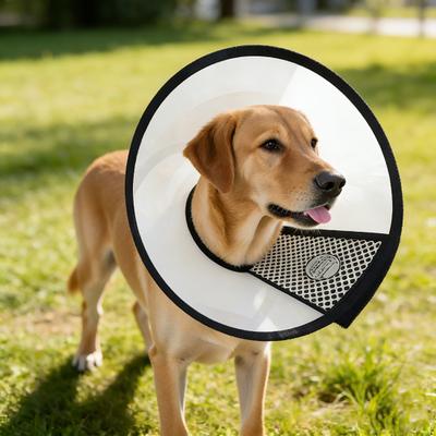 Nastaviteľný kužeľový golier pre domáce zvieratá Mačací recovery golier Psí e-golier Zabraňuje olizovaniu Hryzeniu Rany pre pooperačnú rekonvalescenciu Kúpanie A Strihanie Pazúrikov