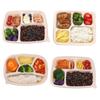 Zebian Corn Starch Disposable Bento Boxes
