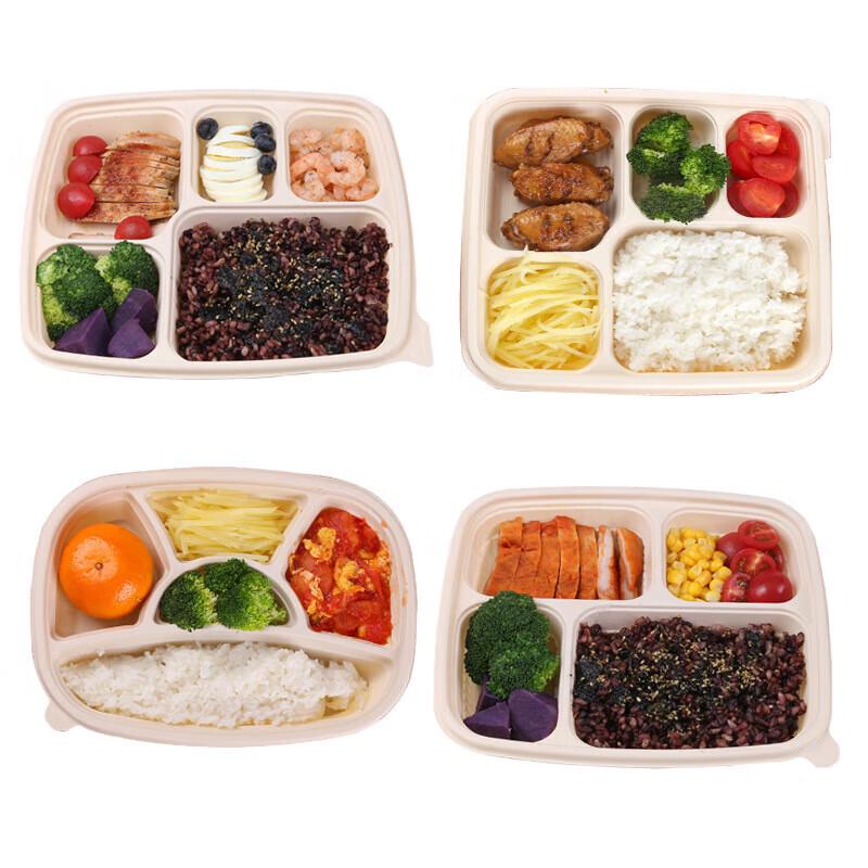 Zebian Corn Starch Disposable Bento Boxes