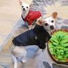 Pet Dog Winter  Waterproof Coat Puppy Warm Jacket The Dog Face Hoodie Reflective Clothing For Small Medium Dogs Cat Pet